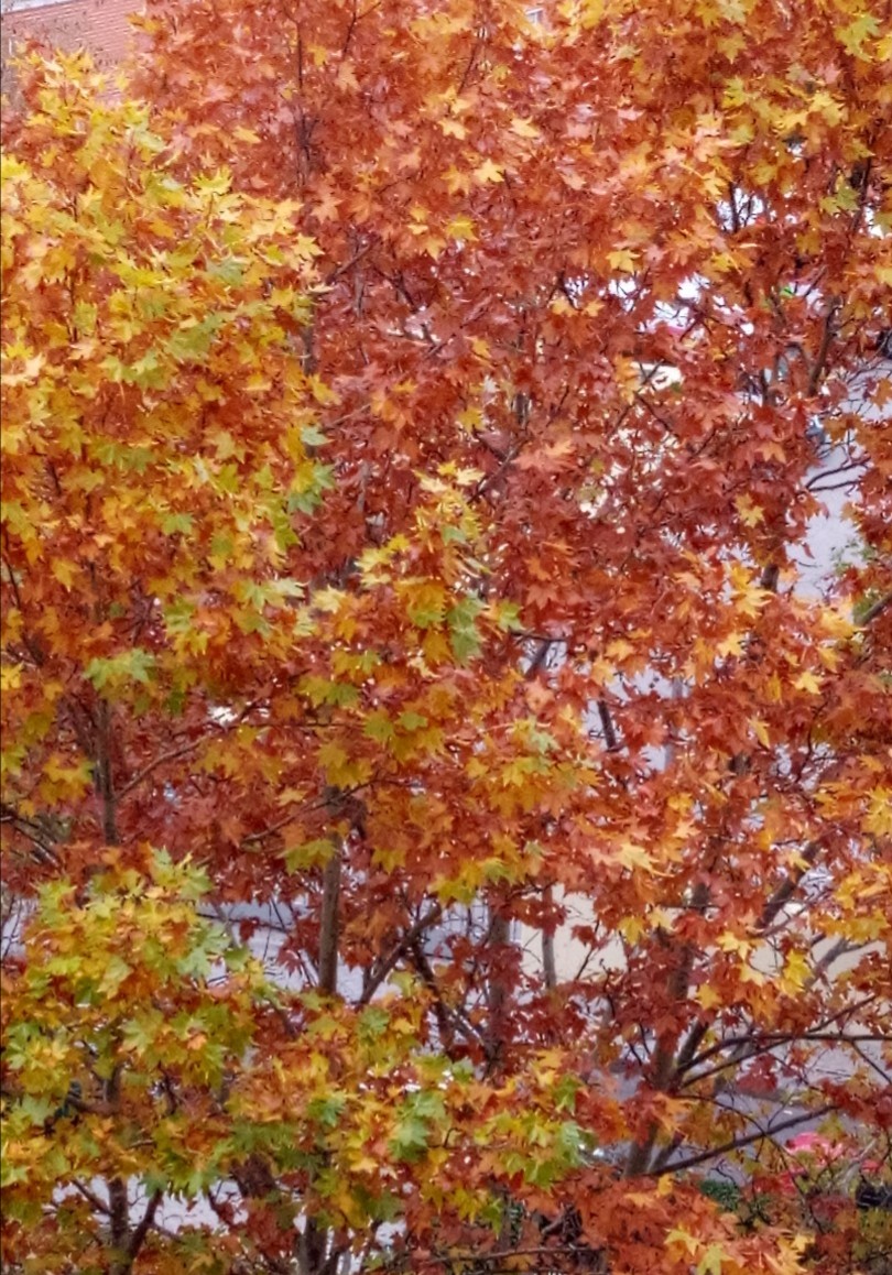 El contacto con la naturaleza…