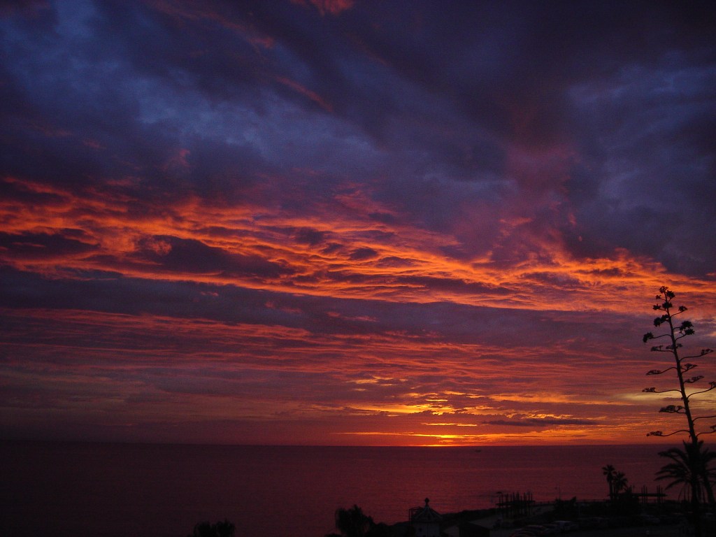 Y que al&nbsp;despertarte