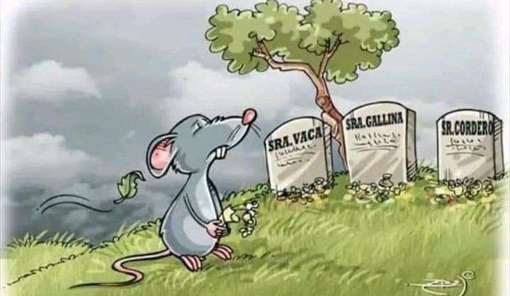 El caso del&nbsp;ratón