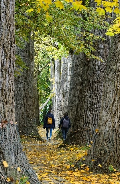 El Amor es&nbsp;ciego