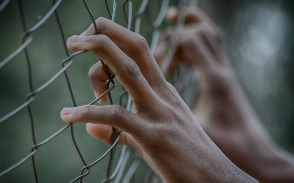 Entrada sin título 14068